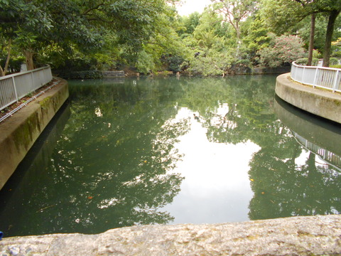 DSCN9694