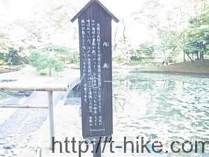 RIMG0072