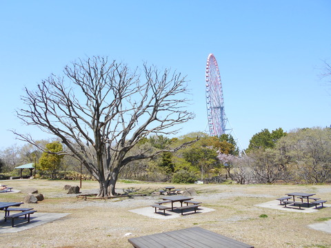 DSCN7368