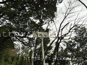 RIMG0385