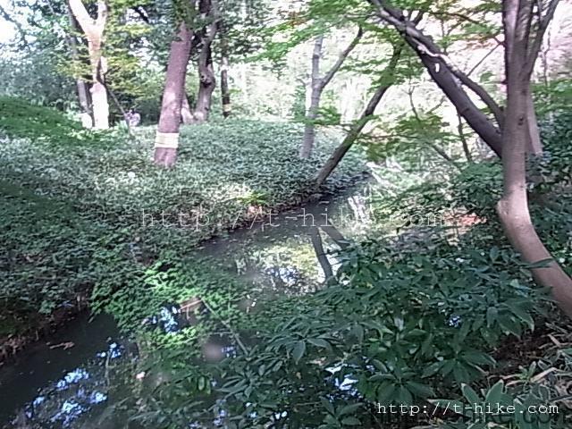 RIMG0245