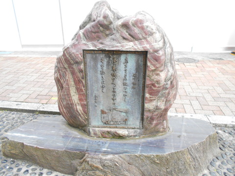 DSCN8553