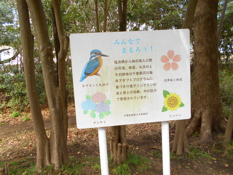 DSCN6767