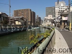 RIMG0232
