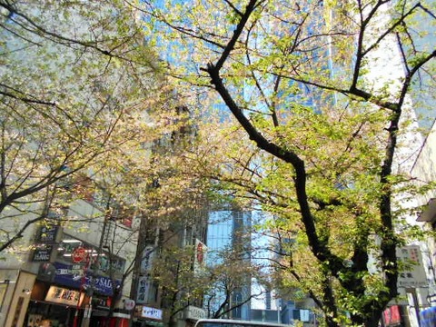 DSCN1879