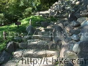RIMG0117