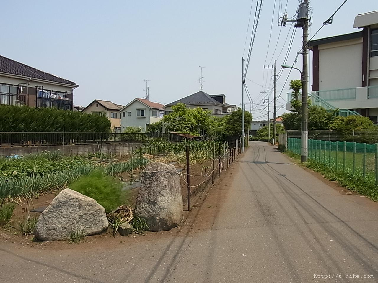 RIMG0846