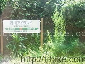 RIMG0078
