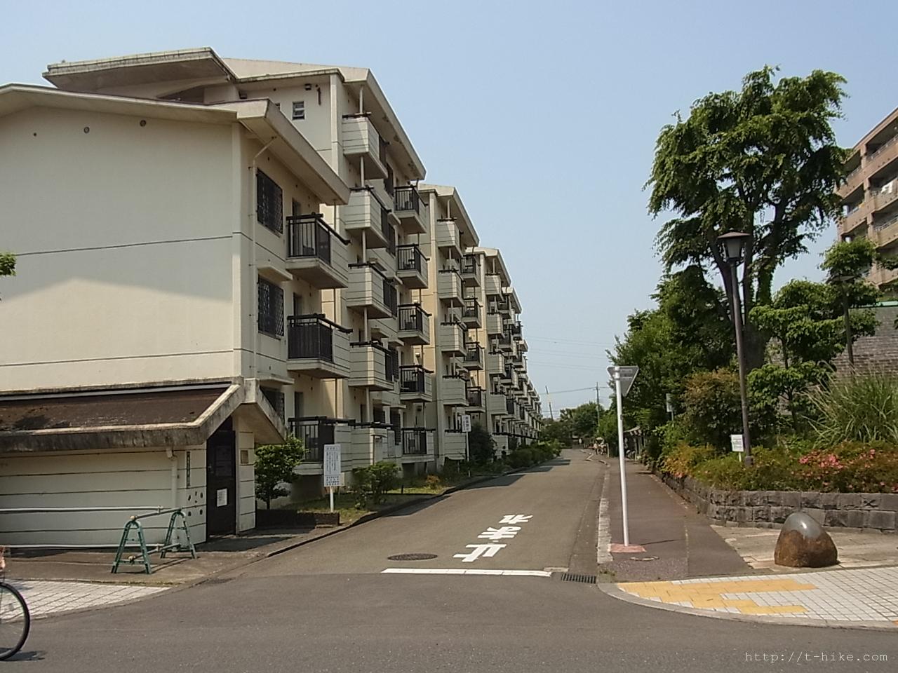 RIMG0785