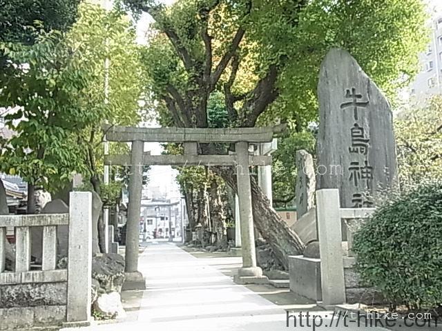 RIMG0698