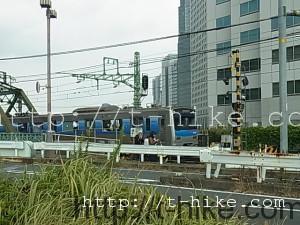 RIMG0300
