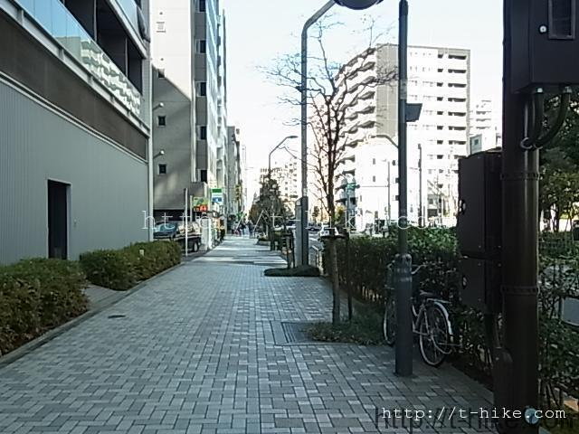 RIMG0232