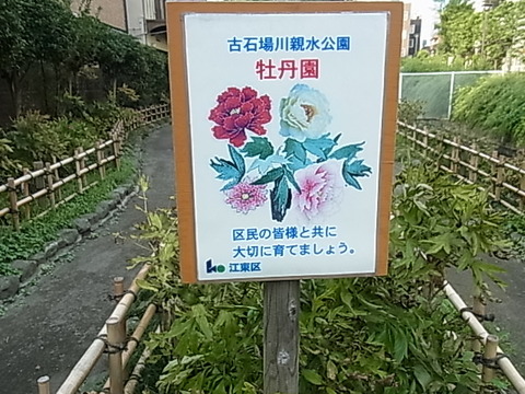 RIMG0622