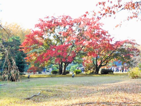 DSCN0637