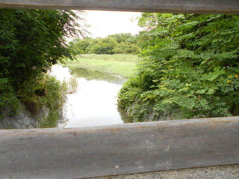 DSCN5959