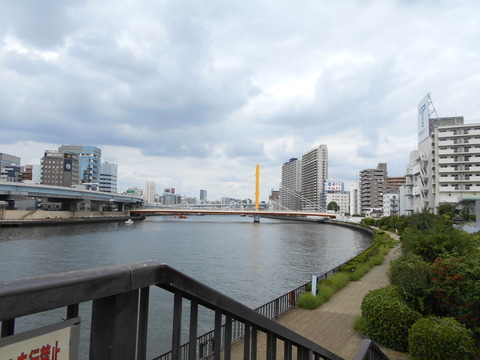 DSCN6305