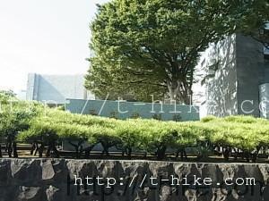 RIMG0046