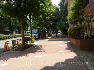 RIMG0863