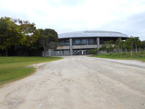 DSCN5948