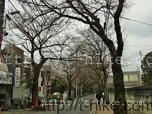 RIMG0342