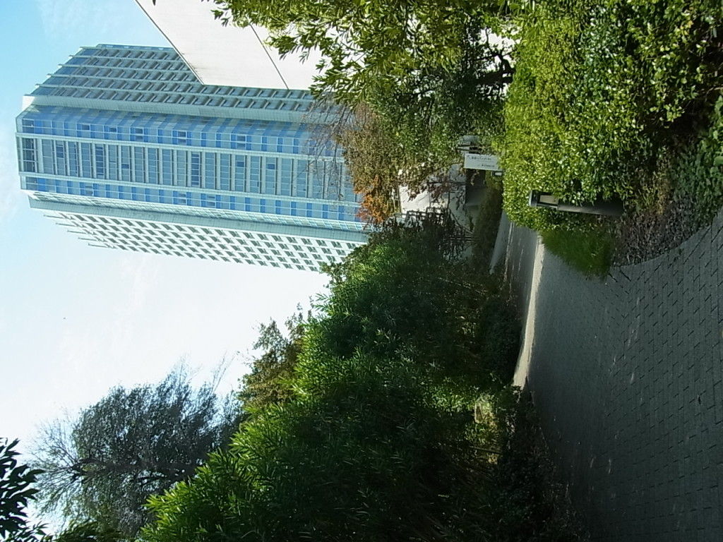 RIMG0285