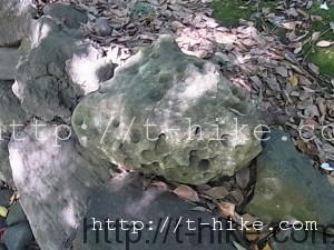 RIMG0156