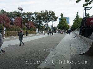 rimg0548