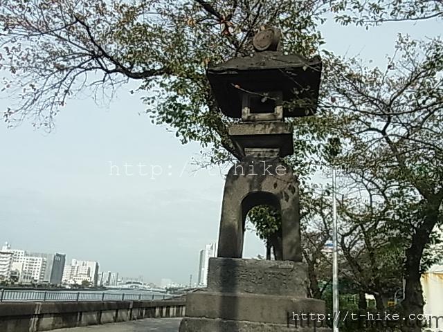 RIMG0677
