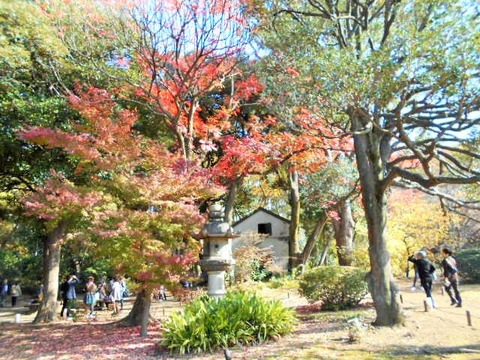 DSCN0646