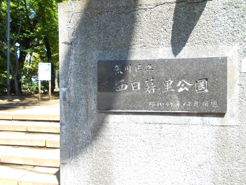 DSCN8379