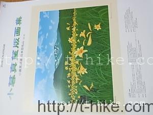 RIMG0147