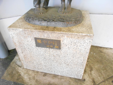 DSCN8654