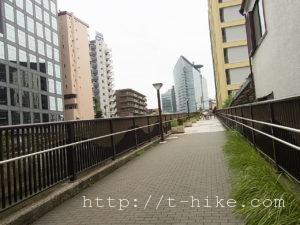 RIMG0141
