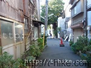 RIMG0503