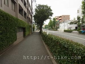 RIMG0781