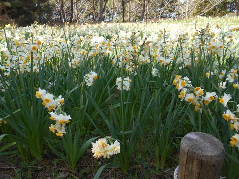 DSCN4831