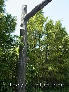 119