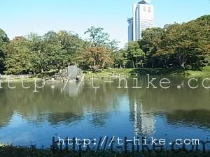 RIMG0051