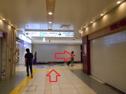 DSCN2531