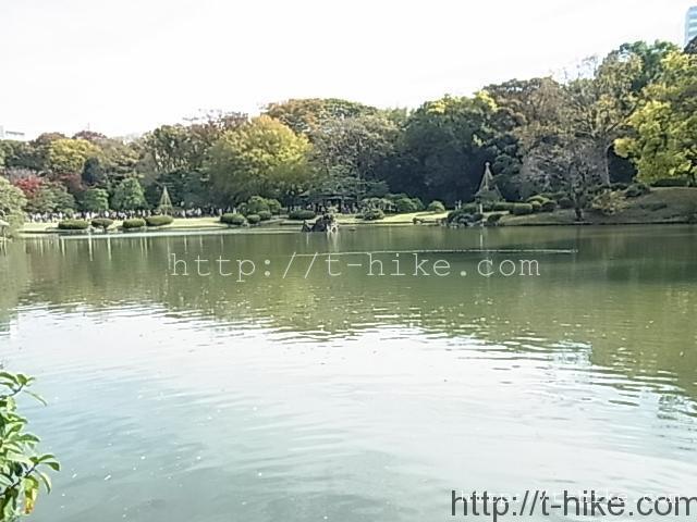 RIMG0249