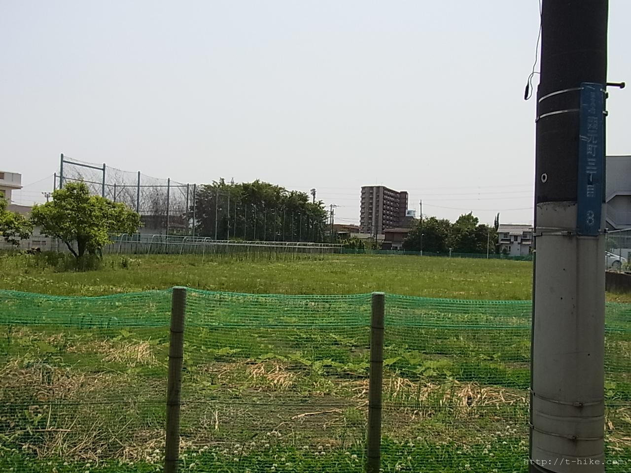 RIMG0845