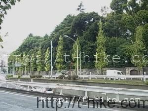 RIMG0267