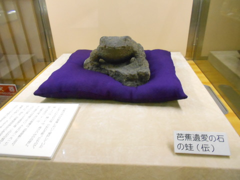 DSCN6284