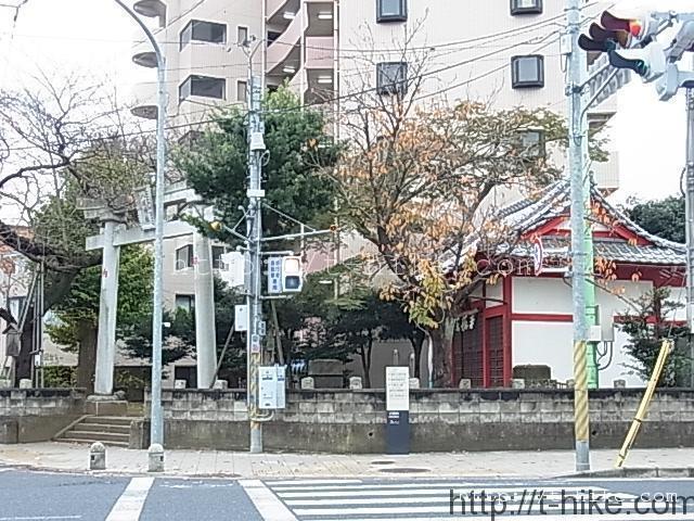 RIMG0018