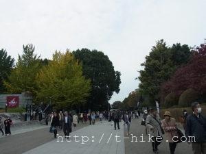 rimg0562