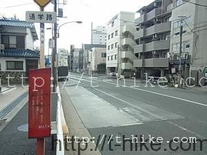 RIMG0337