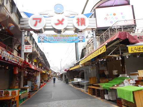 DSCN8571