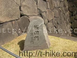 RIMG1369
