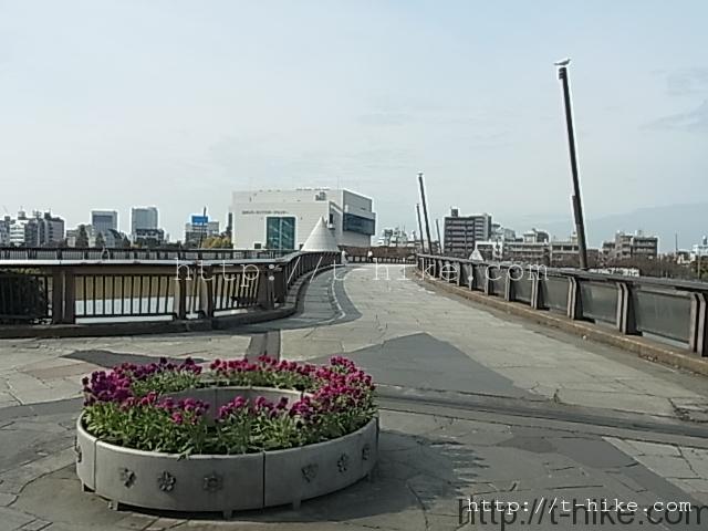 RIMG0681