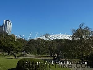 RIMG0041